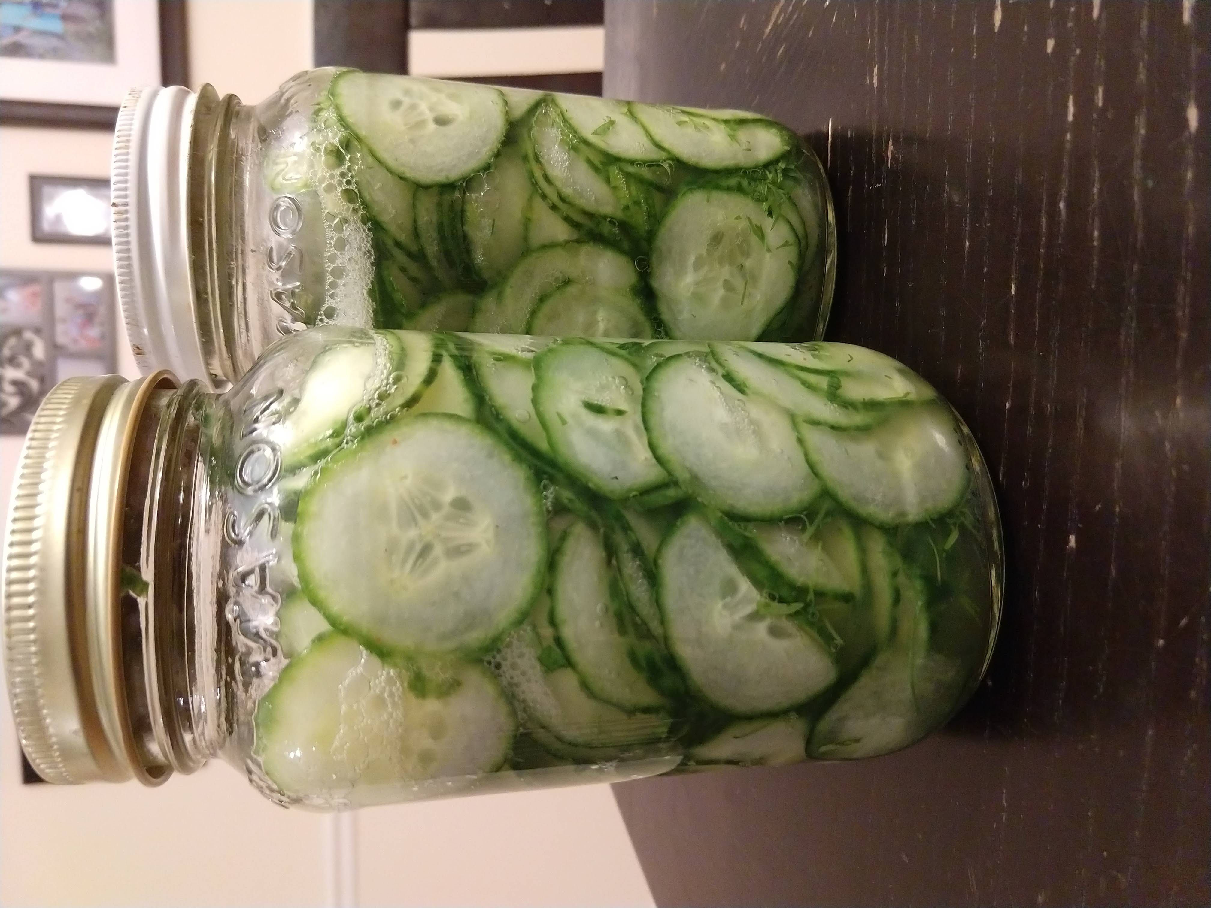 Refrigerator pickles