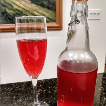 Kombucha