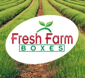 #22 From Freggies to Fresh Farm Boxes